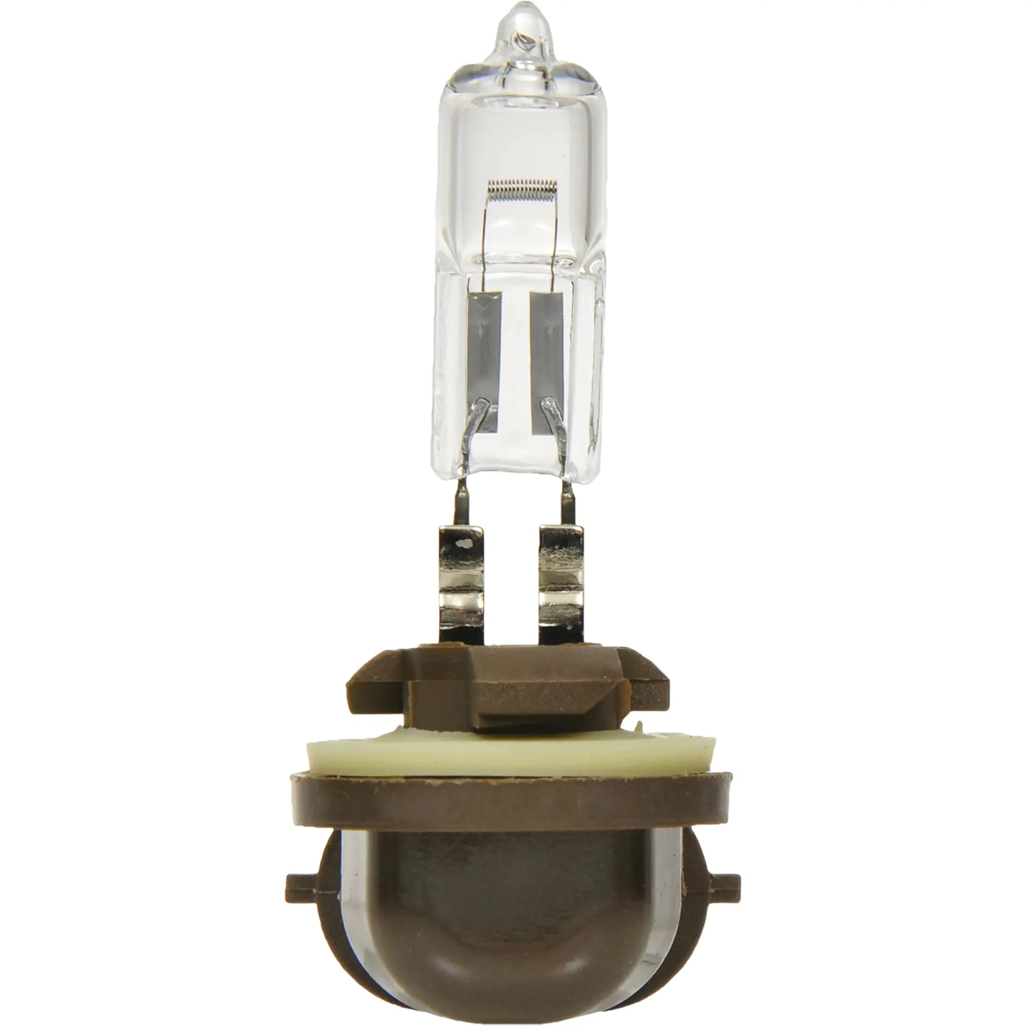 886 Basic Fog Light Bulb Each