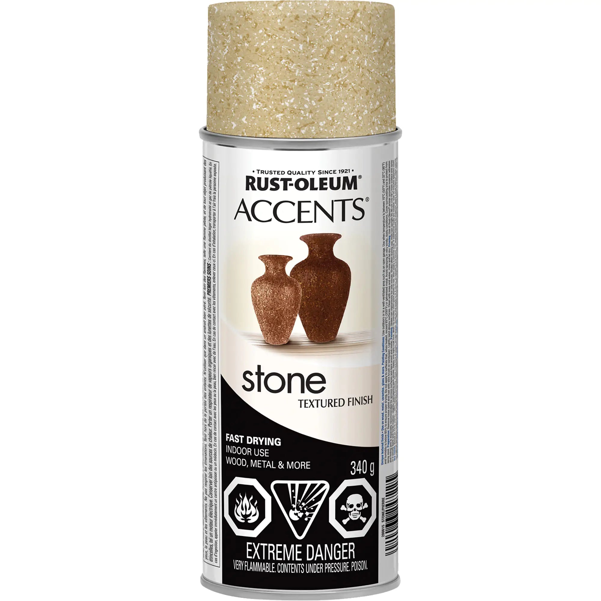 Accents® Stone Creations Spray Paint, Aerosol Can, White Can